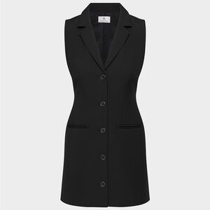 Aritzia Babaton Mastermind Dress